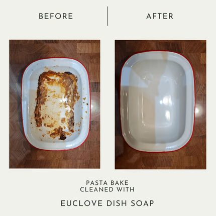 Euclove All Natural Dish Soap Pico X 