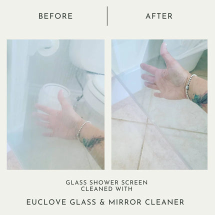 Euclove All Natural Glass & Mirror Cleaner Pico X 